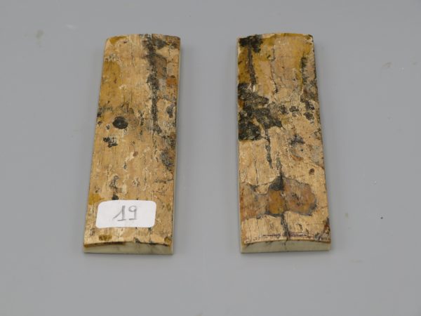 Coppia di piastrine di zanna fossile di mammut con crosta 110x30x7 mm.