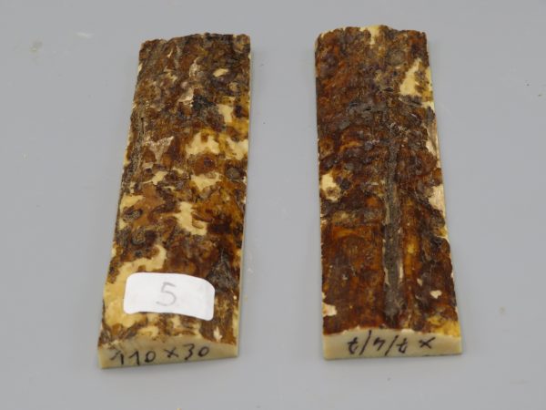 Coppia di piastrine di zanna di mammut fossile con crosta 110x30x7/4/7 mm.