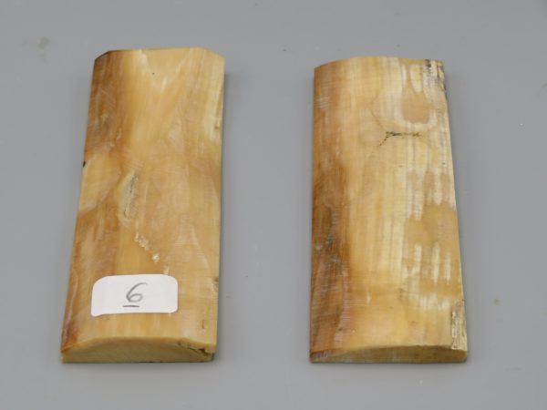 Coppia di piastrine di zanna di mammut fossile con crosta 105x35x7 mm.