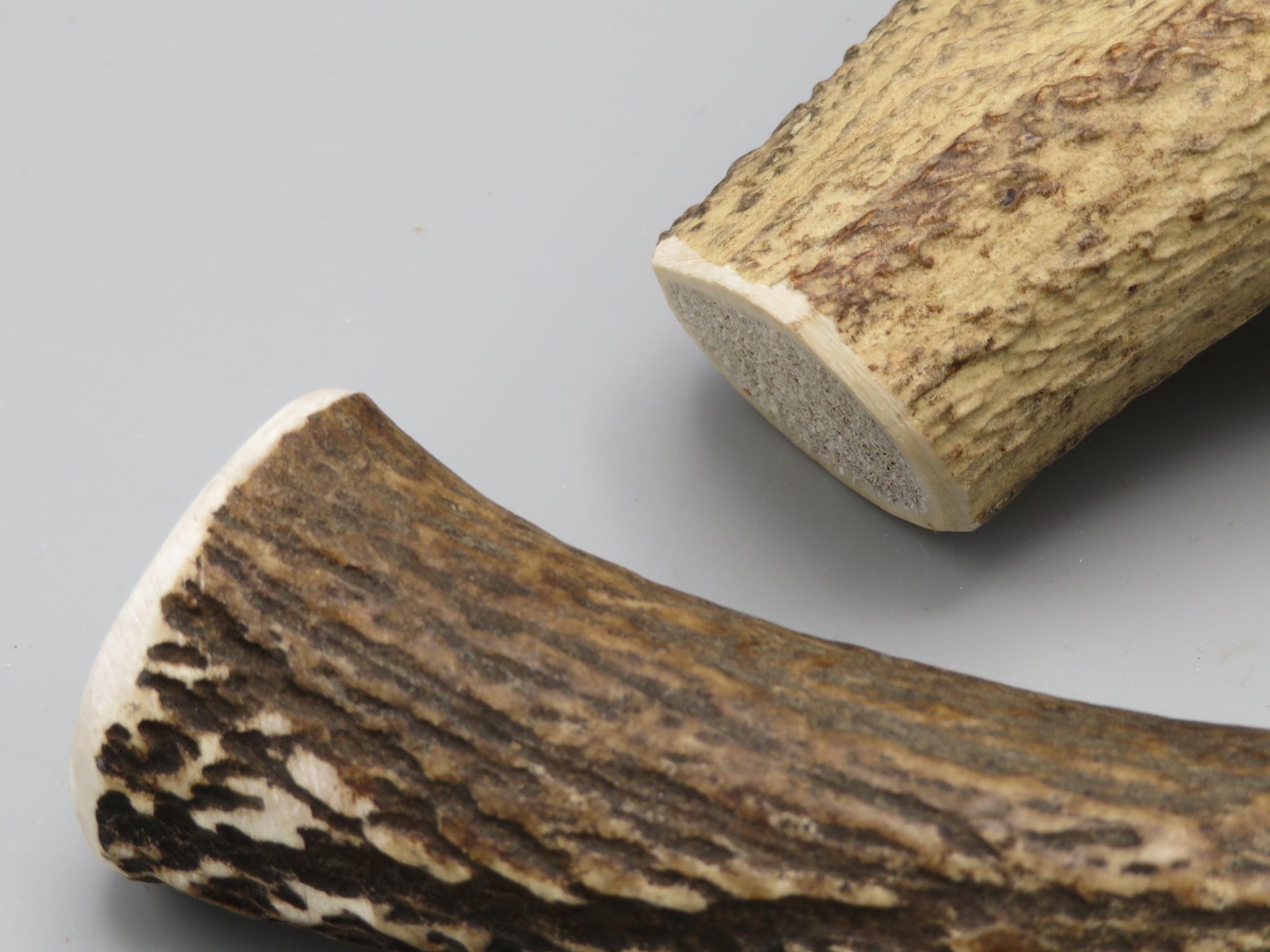 Corno Di Cervo Naturale Per Cani - Osso Da Masticare Indistruttibile, Taglia L Per Cani 20-30kg - Foto 11