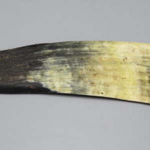 Piastra in corno bovino tipo "brasile"