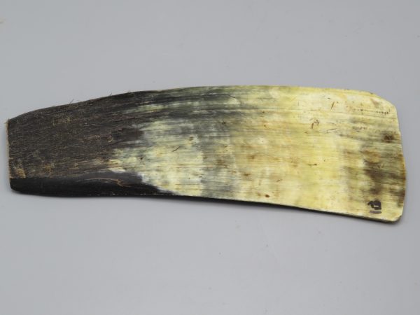 Piastra in corno bovino tipo "brasile"