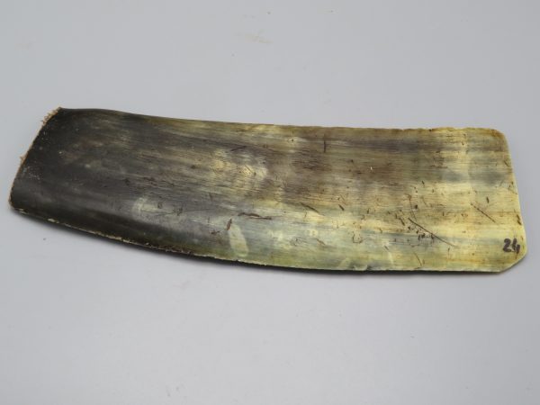 Piastra in corno bovino tipo "brasile"