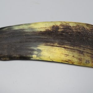 Piastra in corno bovino tipo "brasile"