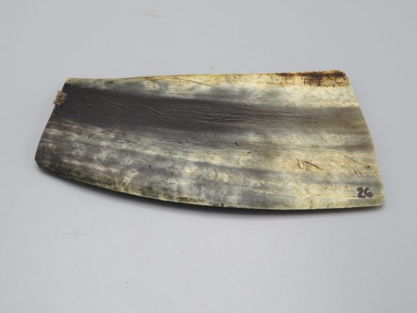Piastra in corno bovino tipo "brasile"