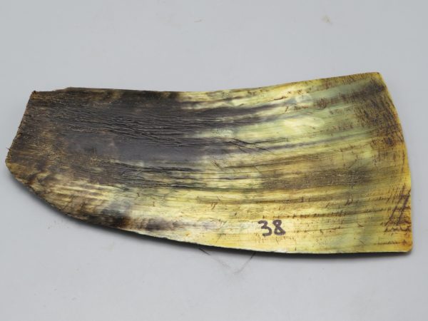 Piastra in corno bovino tipo "brasile"