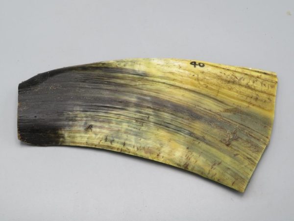 Piastra in corno bovino tipo "brasile"