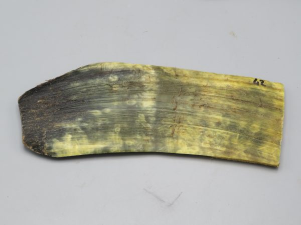 Piastra in corno bovino tipo "brasile"
