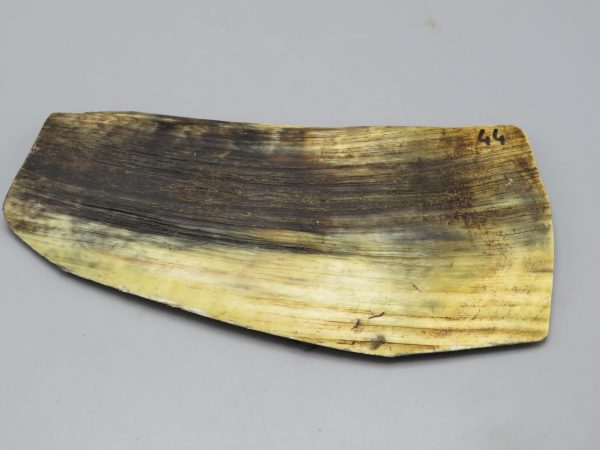 Piastra in corno bovino tipo "brasile"