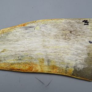 Piastra in corno bovino biondo