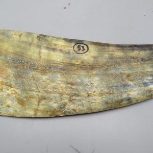Piastra in corno bovino tipo "brasile"