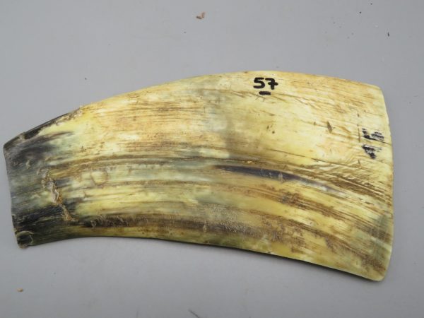 Piastra in corno bovino tipo "brasile"
