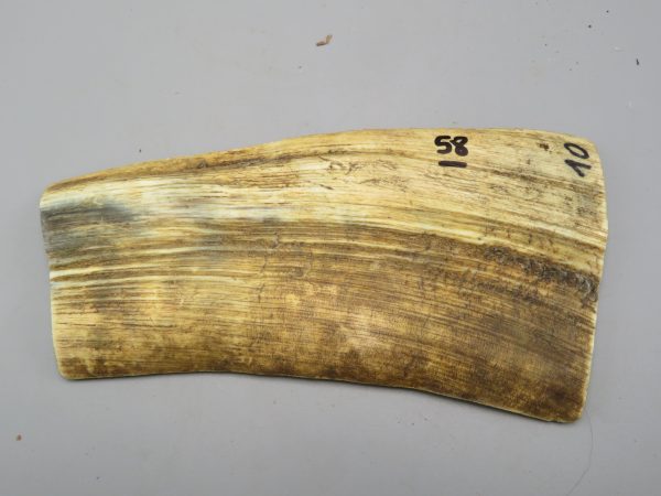 Piastra in corno bovino tipo "brasile"