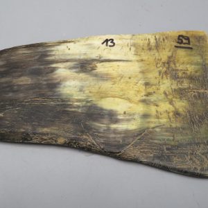 Piastra in corno bovino tipo "brasile"