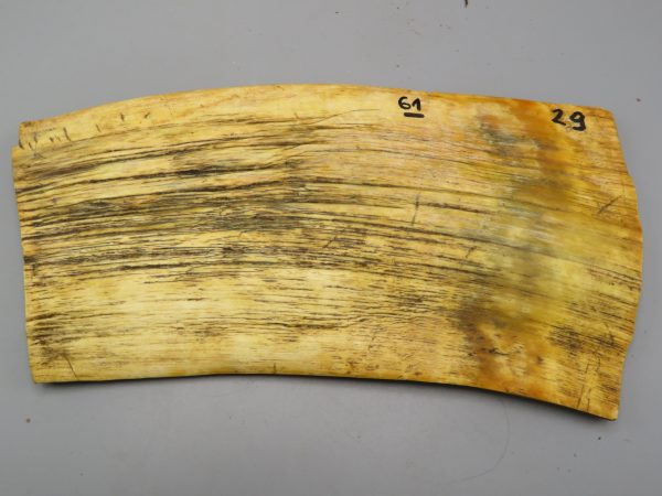 Piastra in corno bovino tipo "brasile"